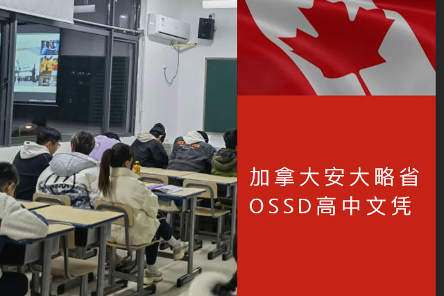 港澳宝63309资料库